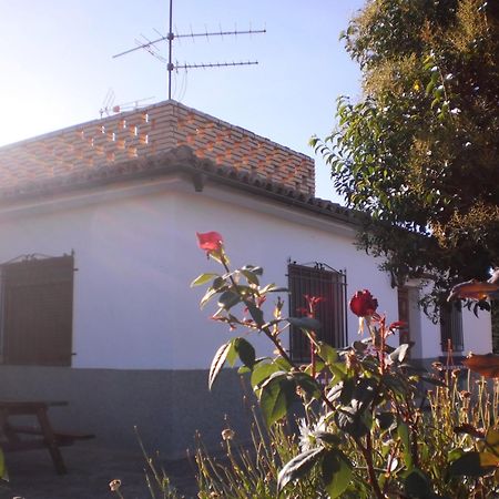 Casa Los Olivos Gravalos Bagian luar foto